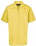 Revere collar short sleeve blouse