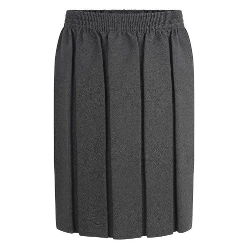 Pleated school skirt