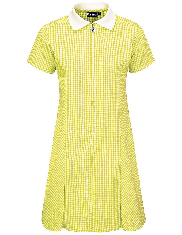 School check summer dress