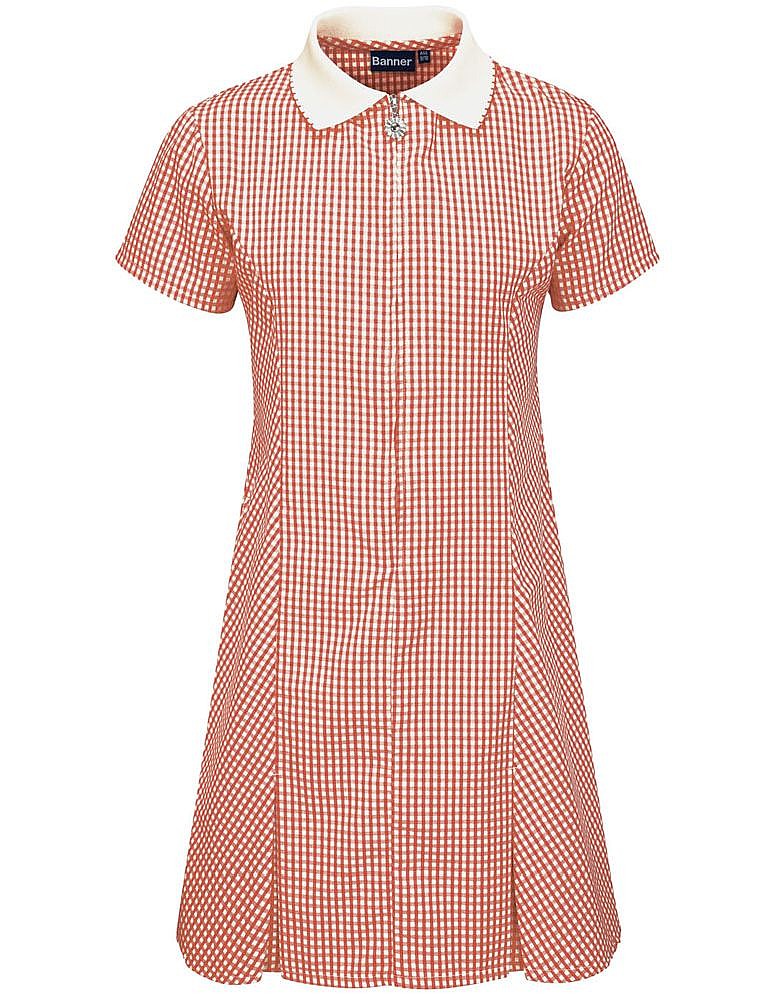 School check summer dress