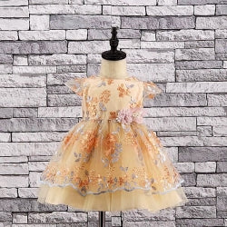 Baby Floral empire dress