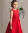 Lucky Dress