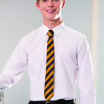 Boys slim school Shirt