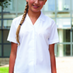 Revere collar short sleeve blouse